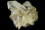 2.9" Twinned Selenite Crystals (Fluorescent) - Red River Floodway - #130296-1